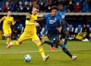 开云APP-柏林赫塔胜券在握，客场挑战霍芬海姆