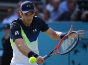 开云体育直播-世界网球队险胜美国网球队，穆雷关键制胜的简单介绍