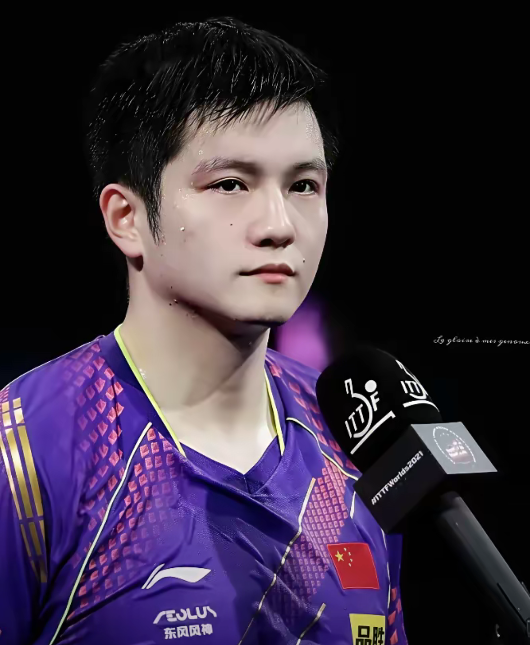 关于法国队翻盘葡萄牙队，樊振东刷新纪录的信息