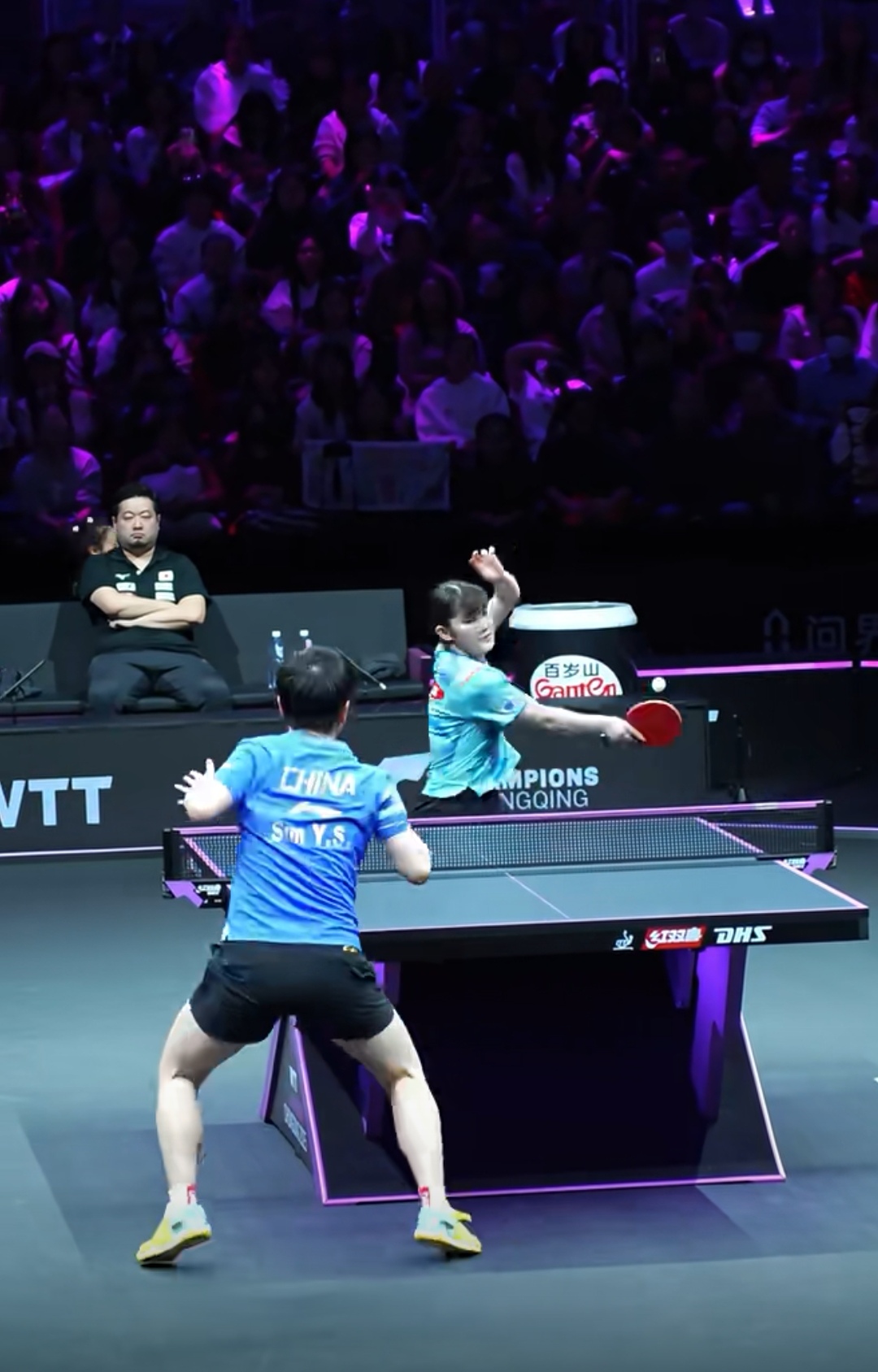 奥地利乒乓球队绝地反击瑞典乒乓球队，波尔送出助攻的简单介绍