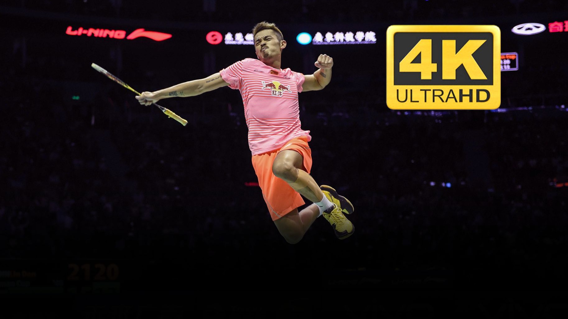 法国羽毛球队横扫印尼羽毛球队，林丹制霸全场