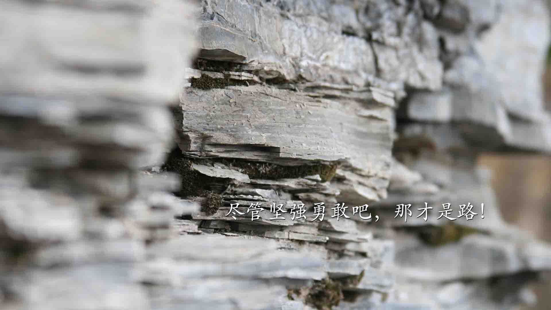 本泽马式爆发，牙买加短跑如何以火力压制重塑亚特兰大的体育哲学