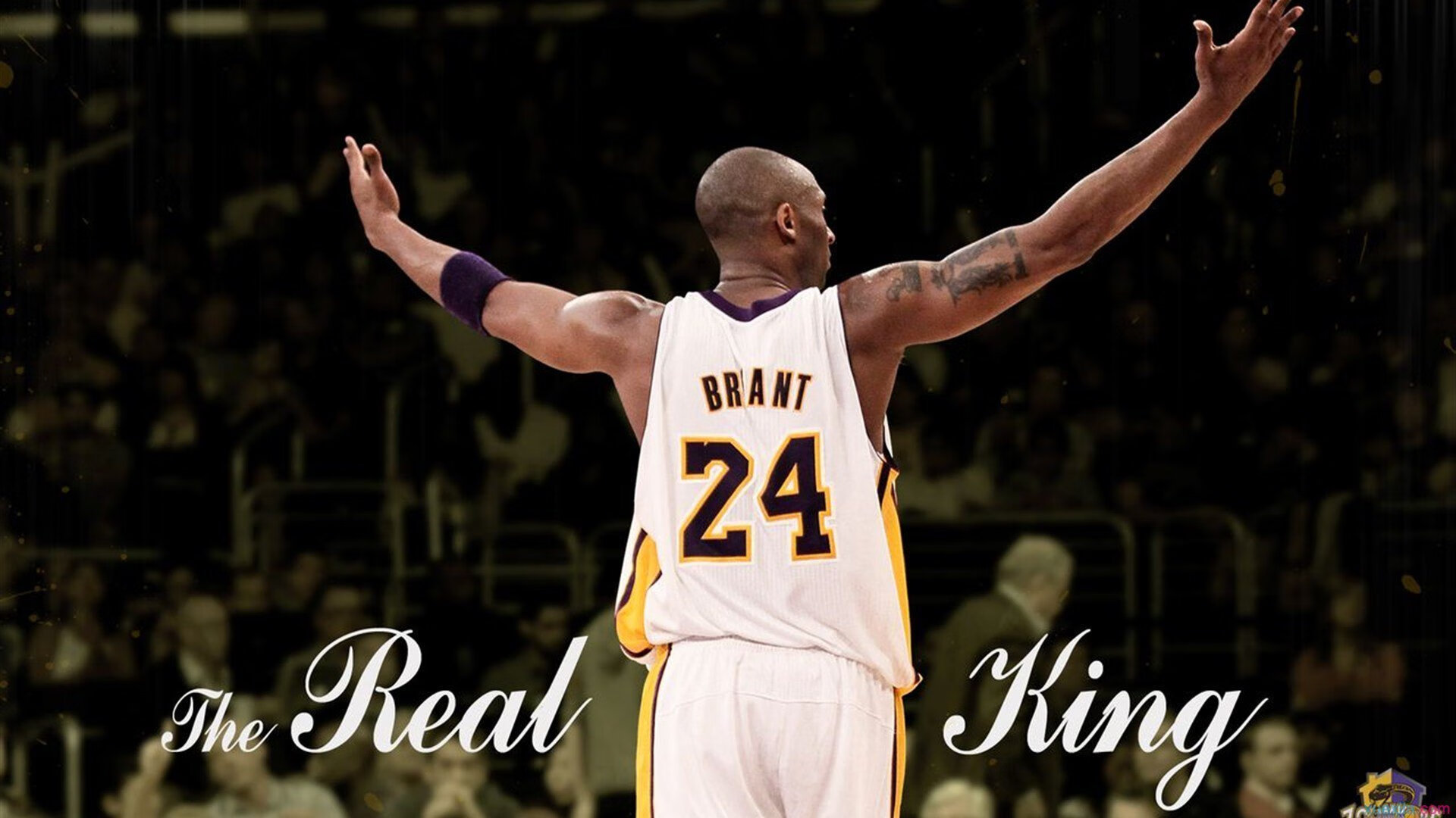 杜兰特指挥若定，黄蜂难挡鹈鹕团队风暴